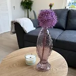 Apartment Amsterdam 17, Incl Parking + Garden