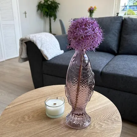 Apartment Amsterdam 17, Incl Parking + Garden