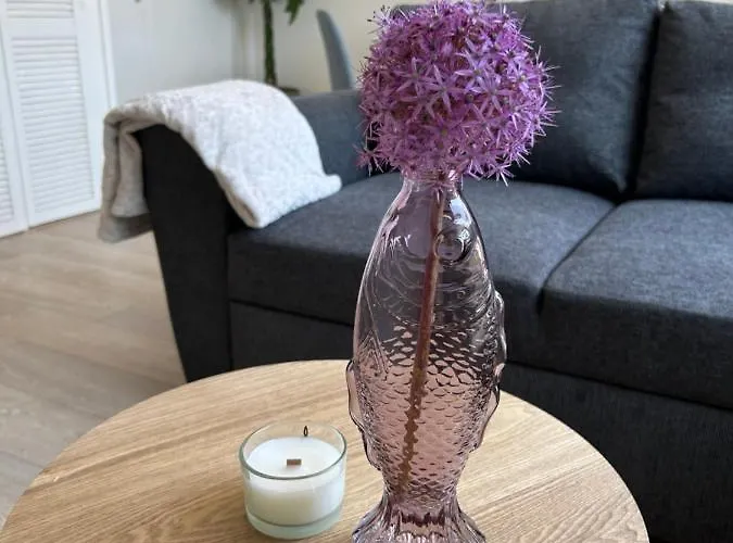 Apartment Amsterdam 17, Incl Parking + Garden